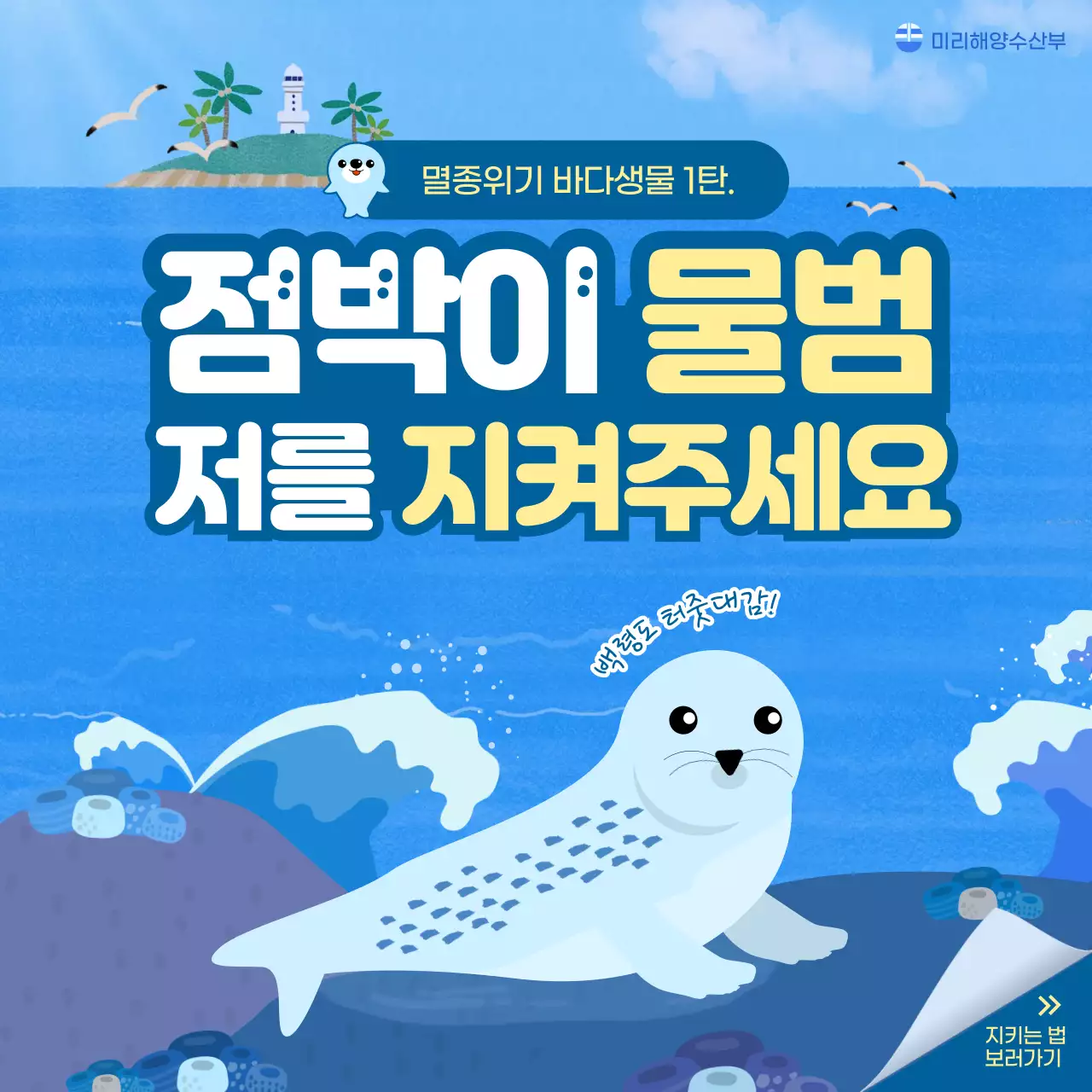 파란색 바다배경의 시원하고 귀여운 일러스트 멸종위기 바다생물지키기 점박이 물범 소셜미디어