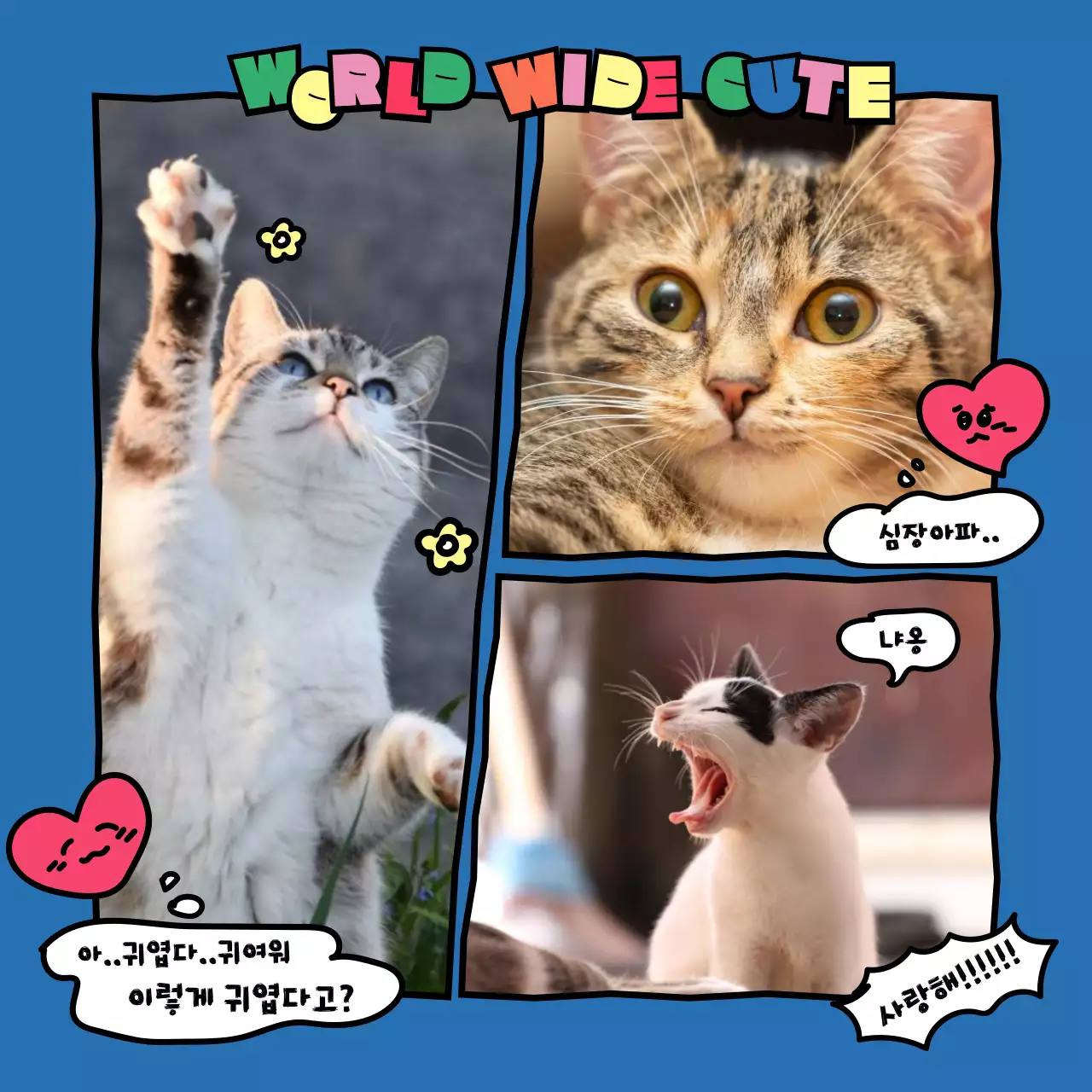 알록달록한 원색의 귀여운 카툰 느낌의 고양이 덕후 주접멘트