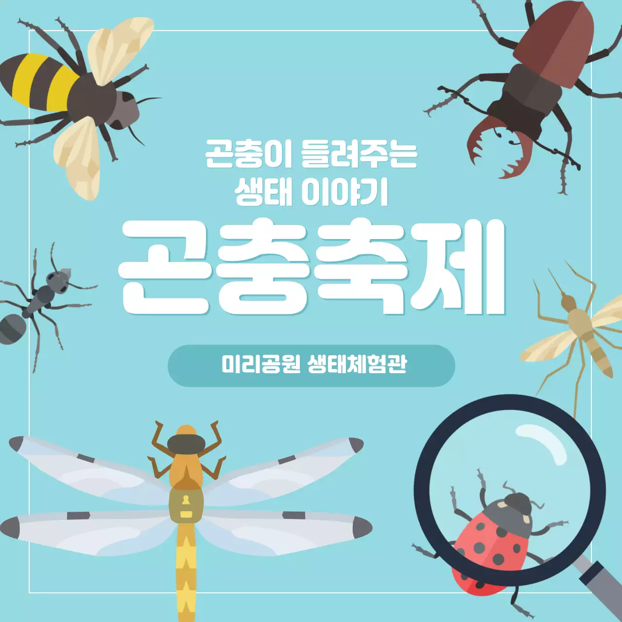 다양한 곤충 일러스트와 하늘색 바탕의 곤충 축제 소셜미디어