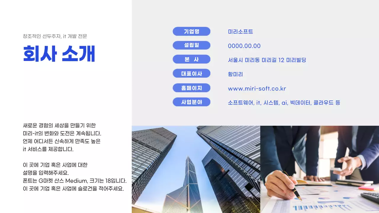 파란색의 it 기업 회사소개서 (프레젠테이션)