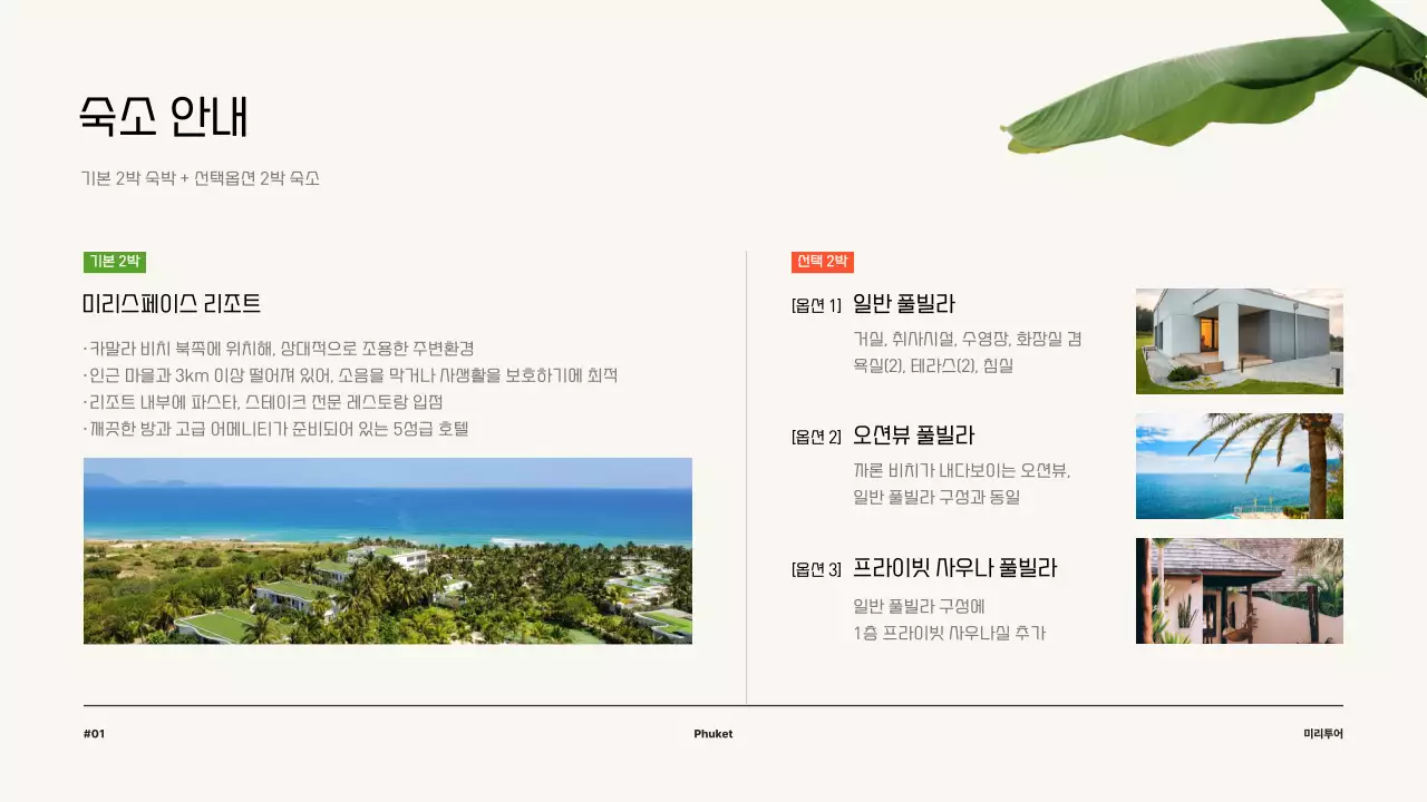 초록색의 깔끔한 신혼여행 상품 제안서