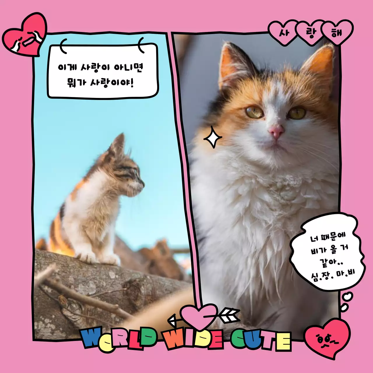 알록달록한 원색의 귀여운 카툰 느낌의 고양이 덕후 주접멘트