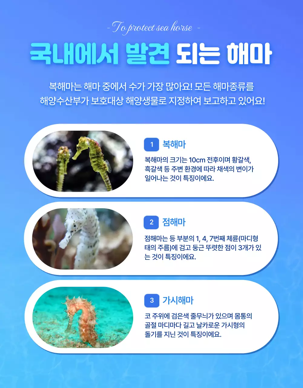 파란색의 시원한 물속배경의 멸종위기 바다생물 해마보호 펀딩상세페이지