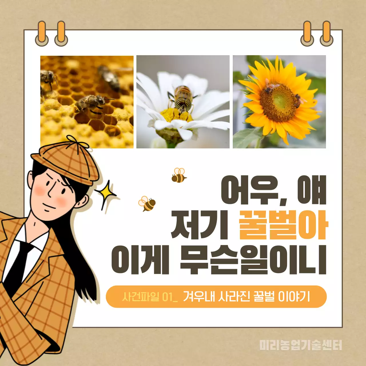 베이지색의 꿀벌 실종사건 카드뉴스 디자인