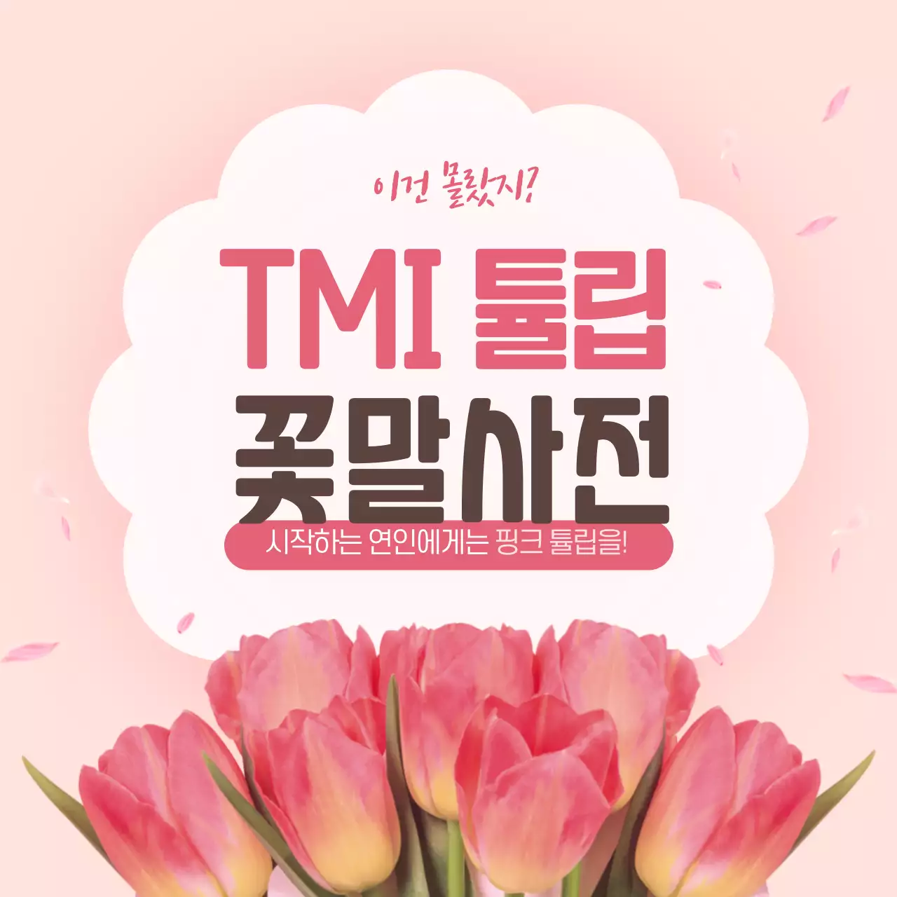 분홍색의 튤립 꽃말사전 카드뉴스 디자인