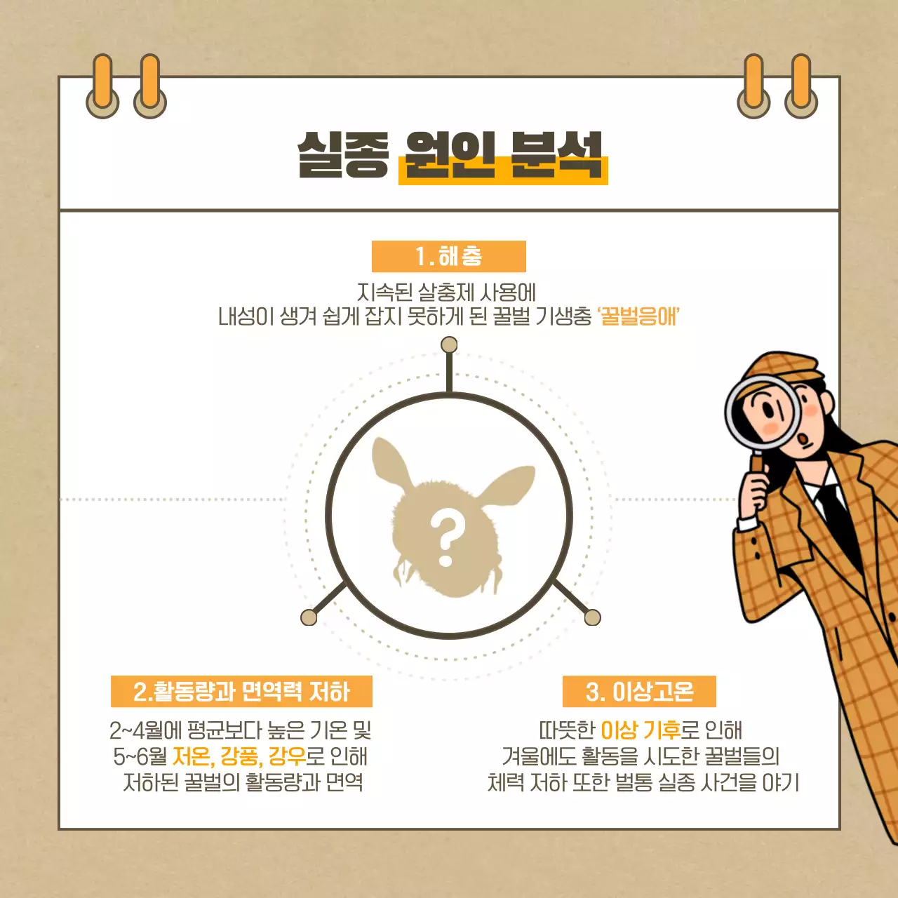 베이지색의 꿀벌 실종사건 카드뉴스 디자인