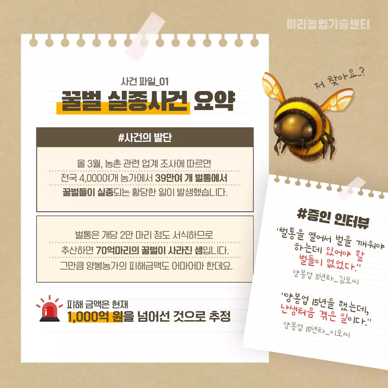 베이지색의 꿀벌 실종사건 카드뉴스 디자인
