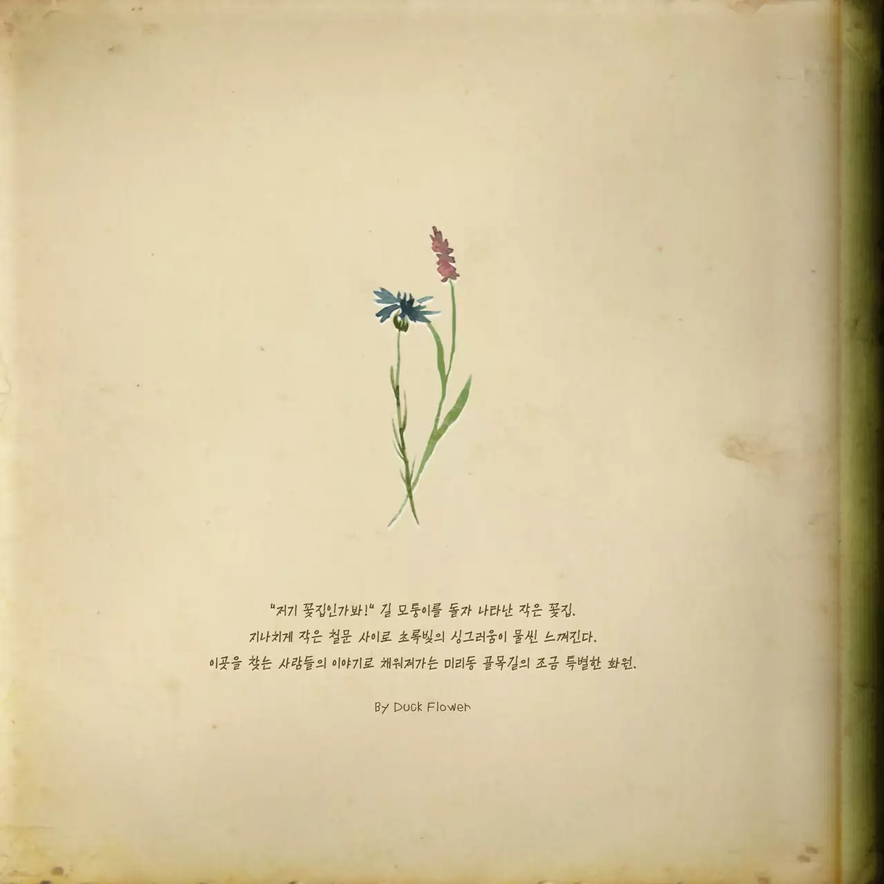 미색의 빛바랜 수채화 소설책 컨셉의 감성적인 번들팩