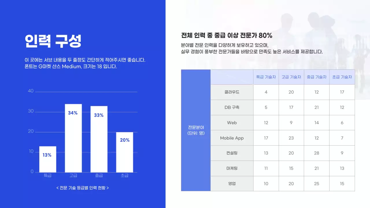 파란색의 it 기업 회사소개서 (프레젠테이션)