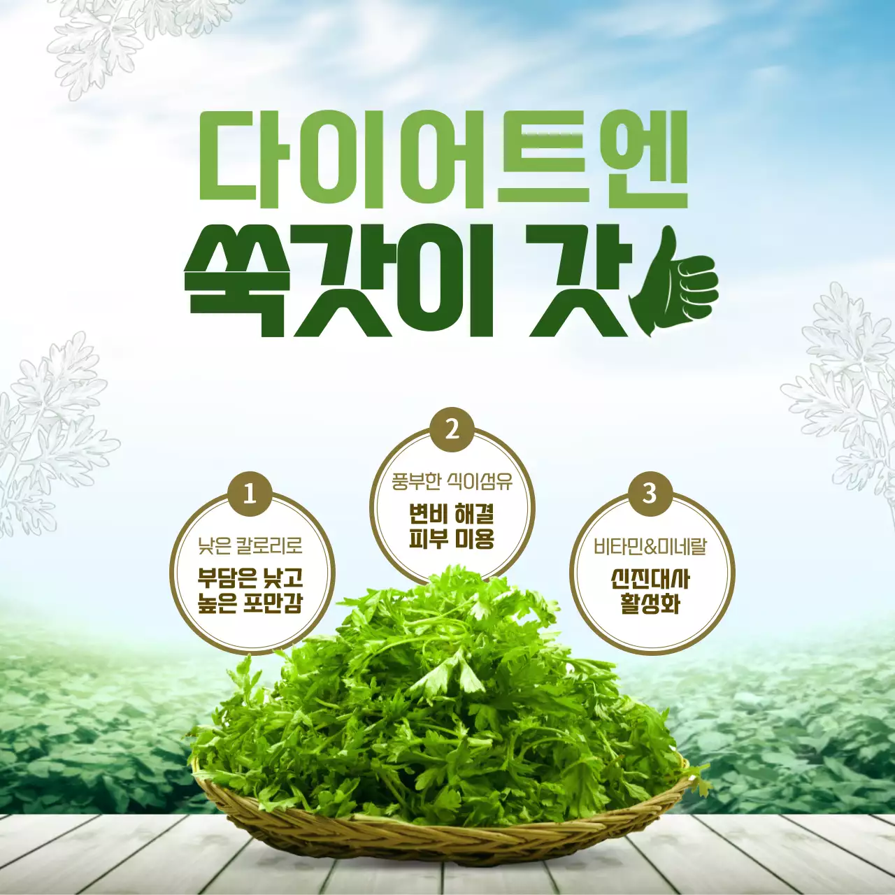 초록색 하늘색의 깔끔한 사진 컨셉 쑥갓 테마