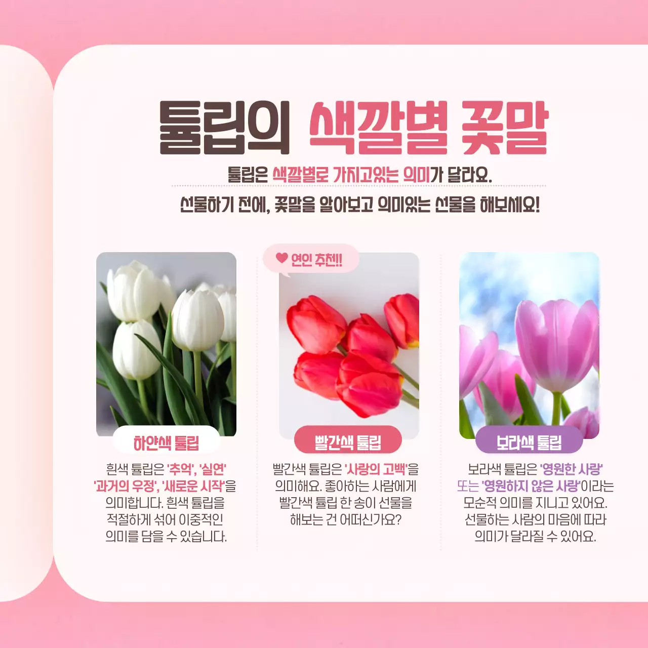 분홍색의 튤립 꽃말사전 카드뉴스 디자인