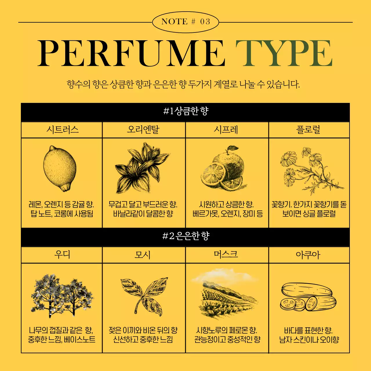 감성적인 분위기의 향수 카드뉴스 디자인
