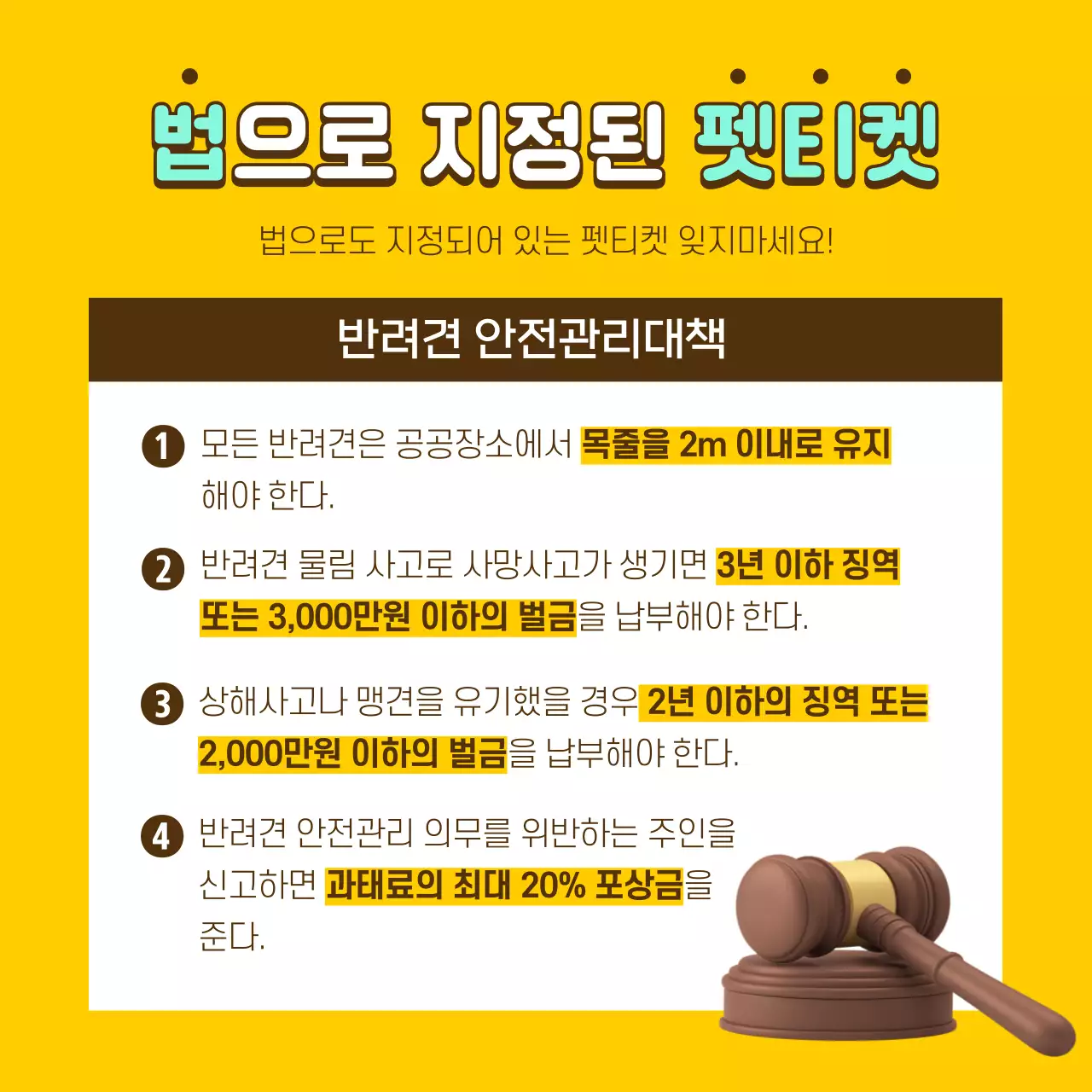 노란색과 고동색의 정보형 펫티켓