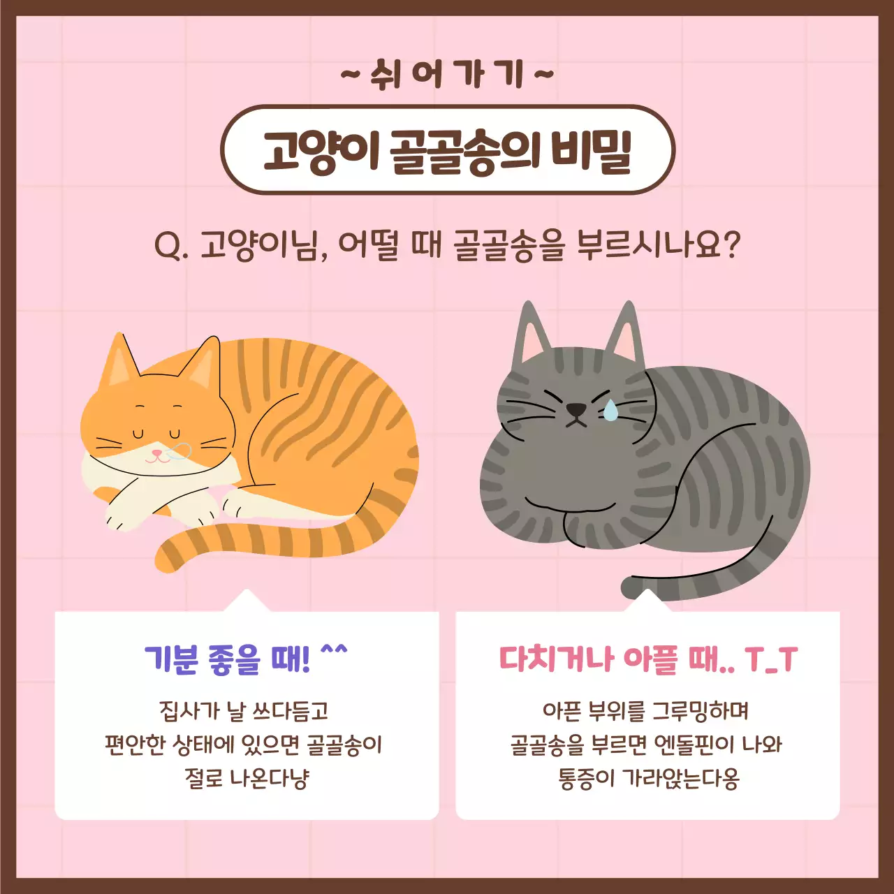 파스텔톤의 귀여운 고양이 집사시험 정보