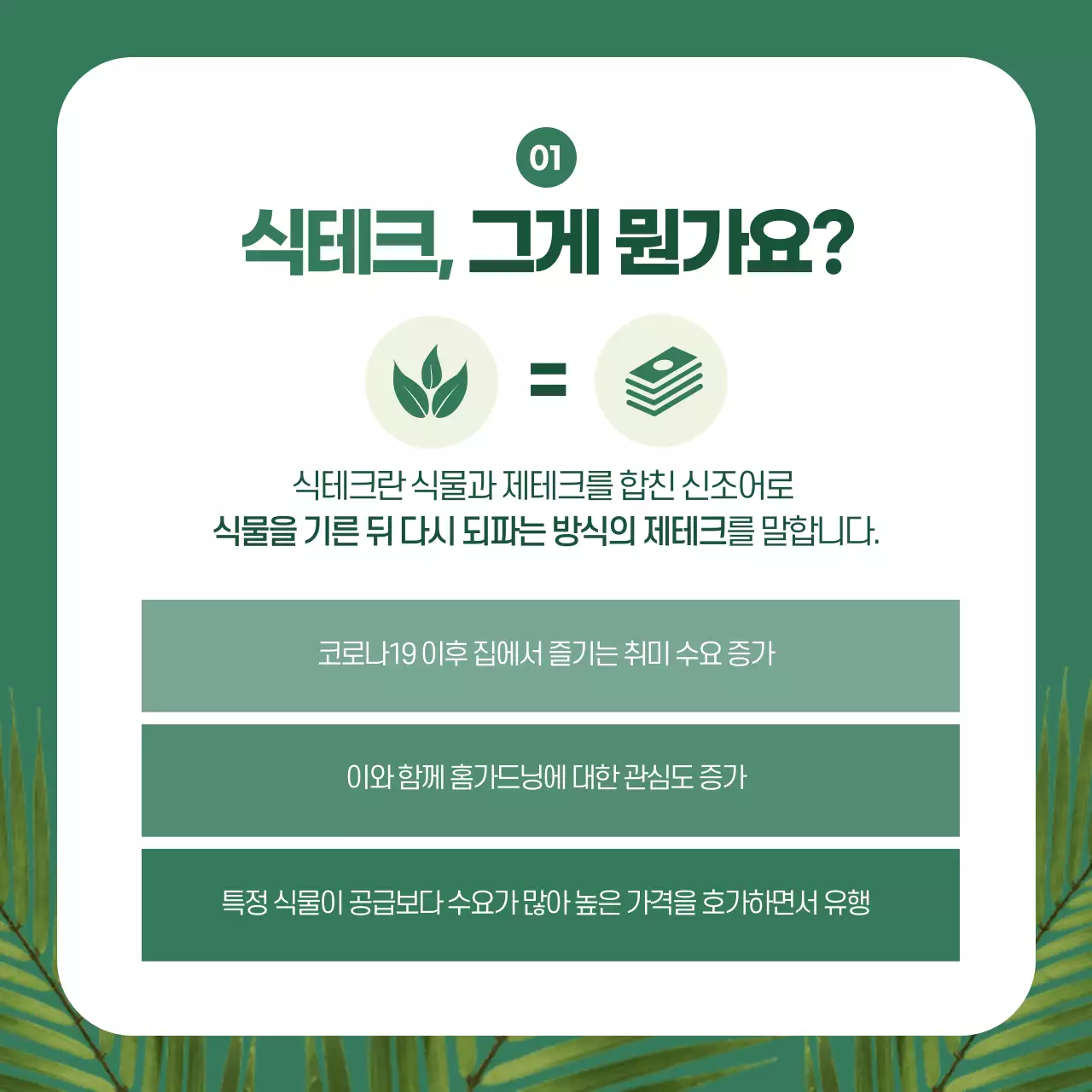 초록색 분위기의 식테크 카드뉴스 디자인