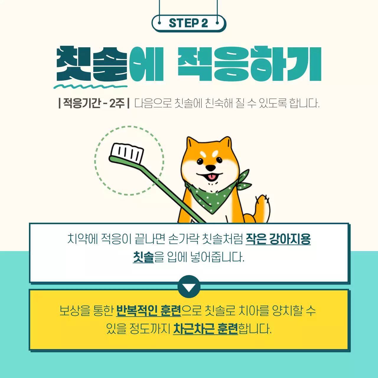 민트색과 노란색의 일러스트 강아지 양치법