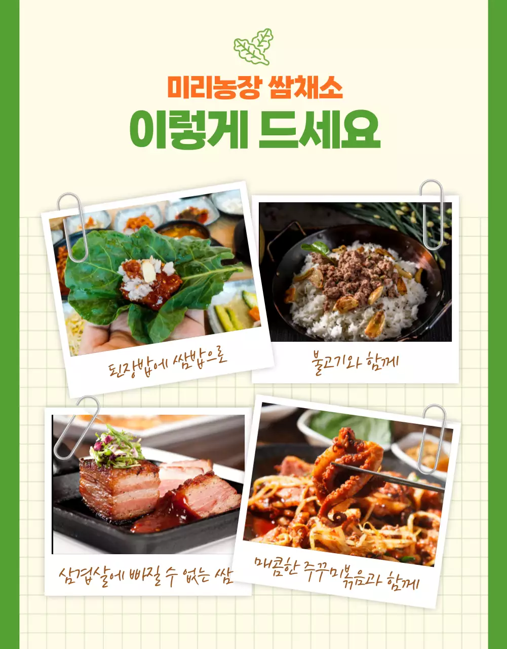 일러스트가 있는 상큼한 녹색의 유기농 쌈채소