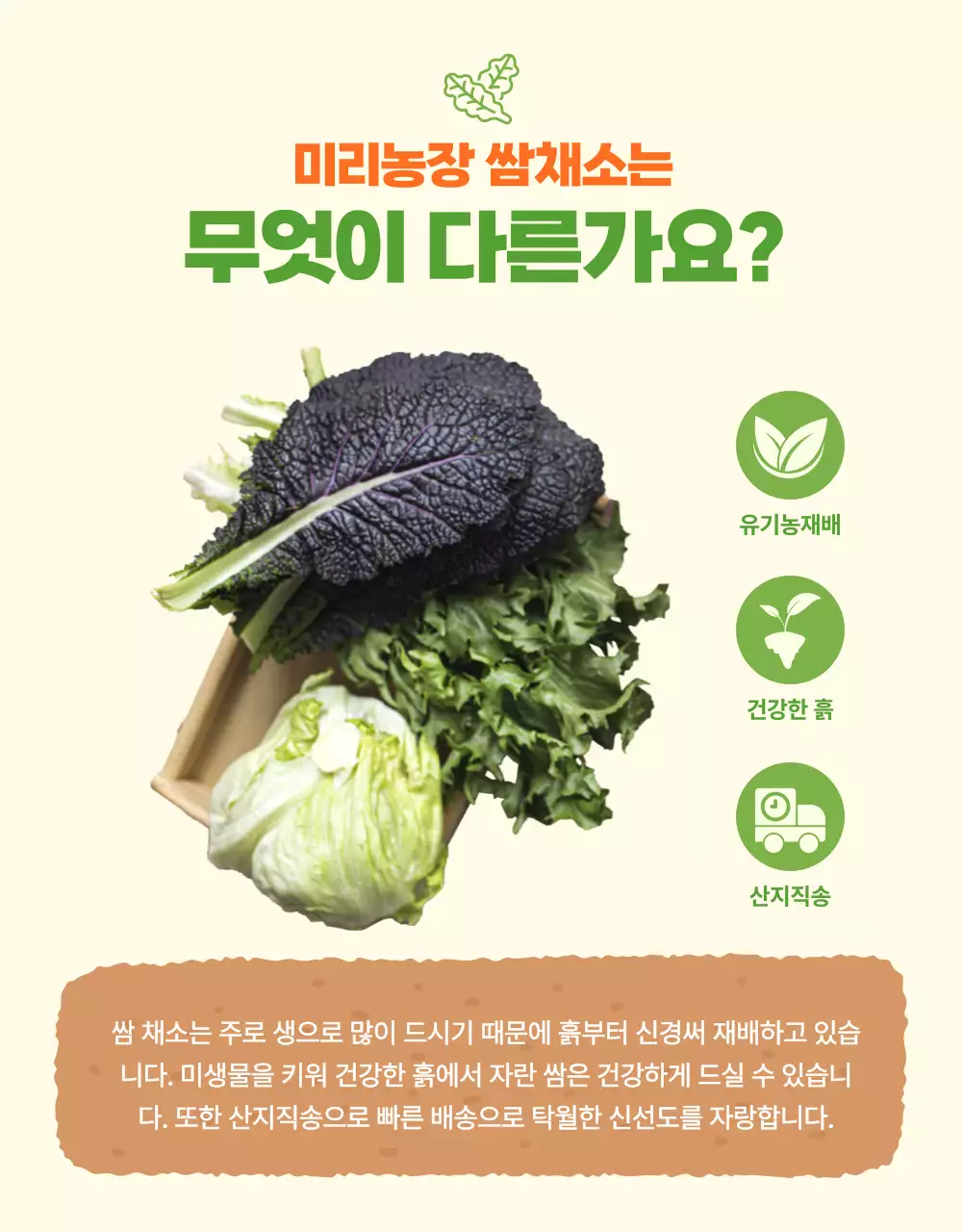 일러스트가 있는 상큼한 녹색의 유기농 쌈채소