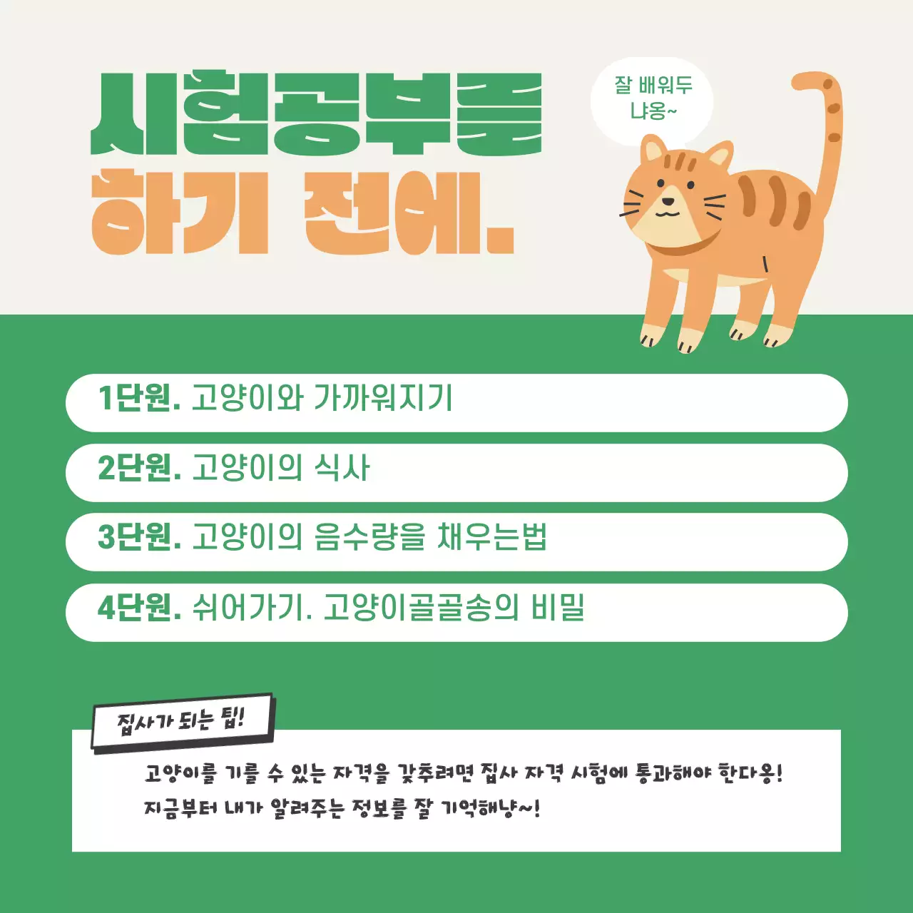 초록색과 주황색의 아기자기한 고양이집사 자격시험 정보