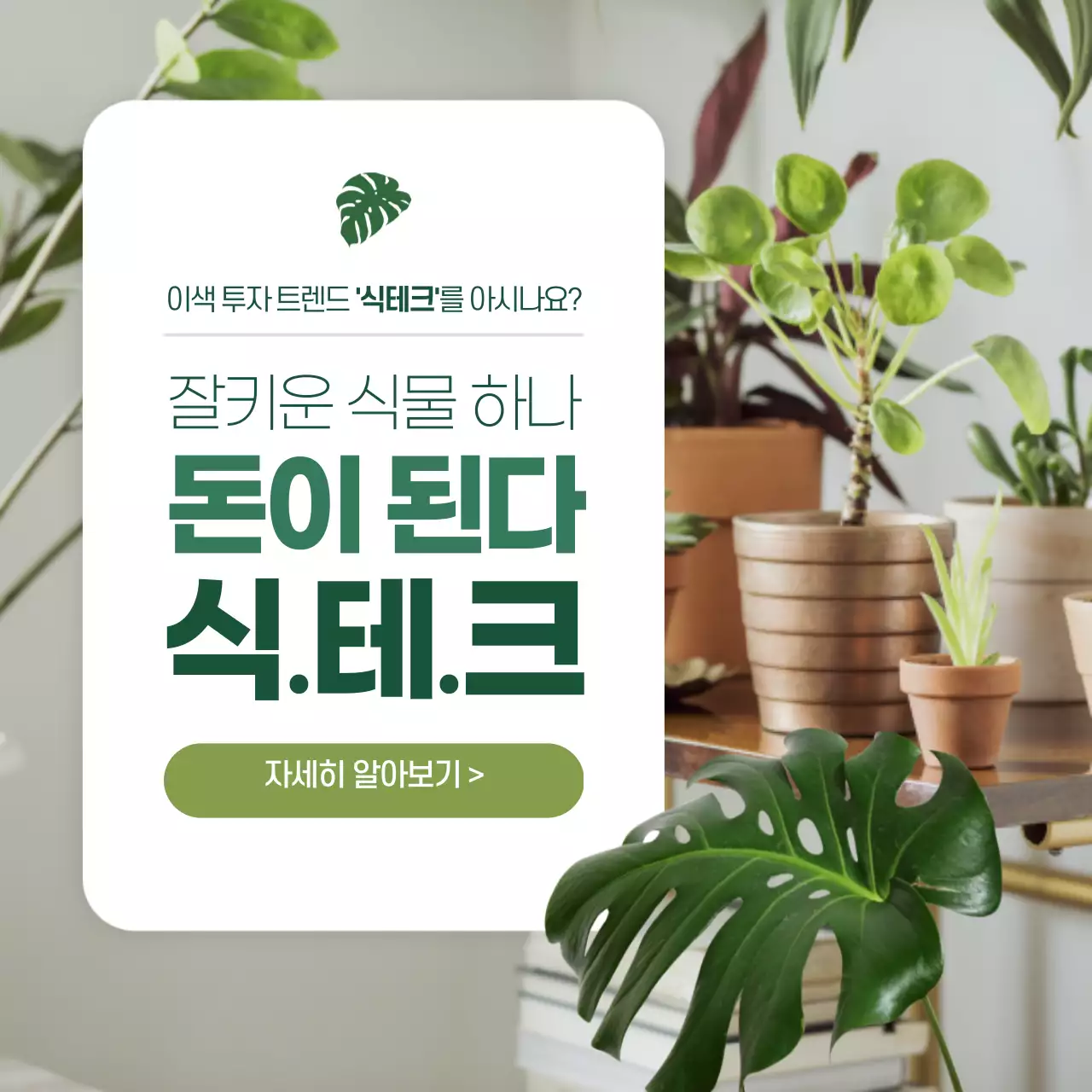 초록색 분위기의 식테크 카드뉴스 디자인