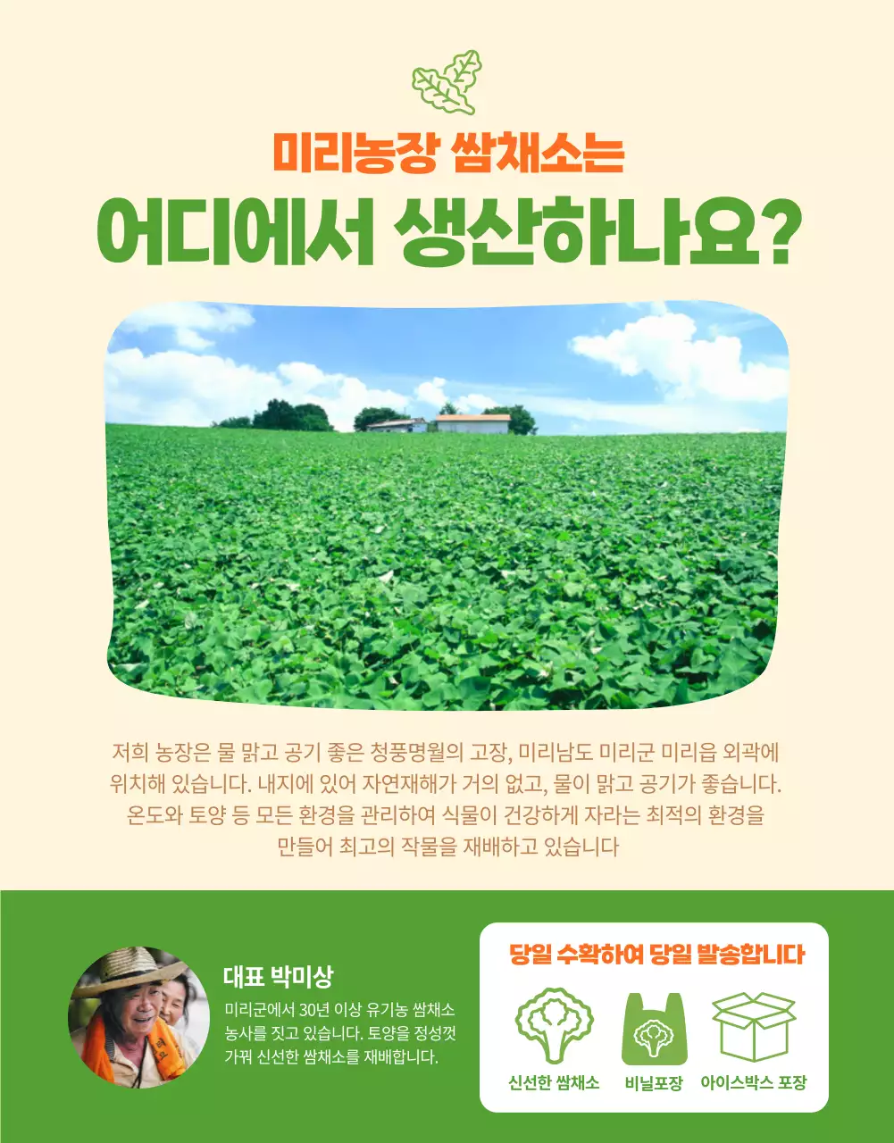 일러스트가 있는 상큼한 녹색의 유기농 쌈채소