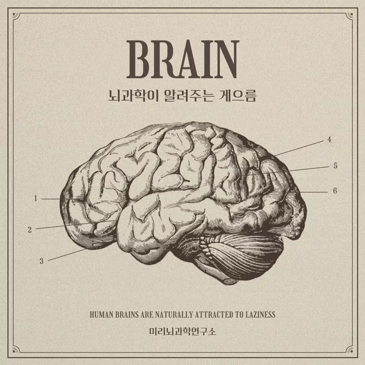 베이지톤의 사실적인 일러스트 컨셉의 뇌과학과 게으름
