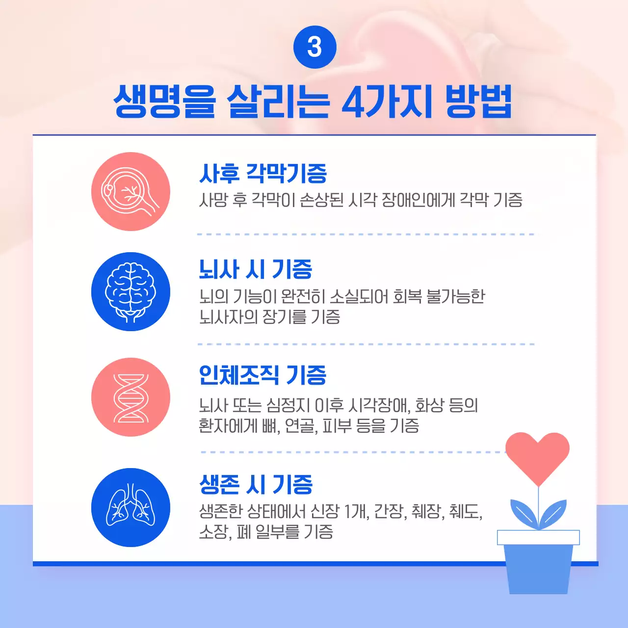 분홍색 파랑색 따뜻한 장기기증의 날 홍보