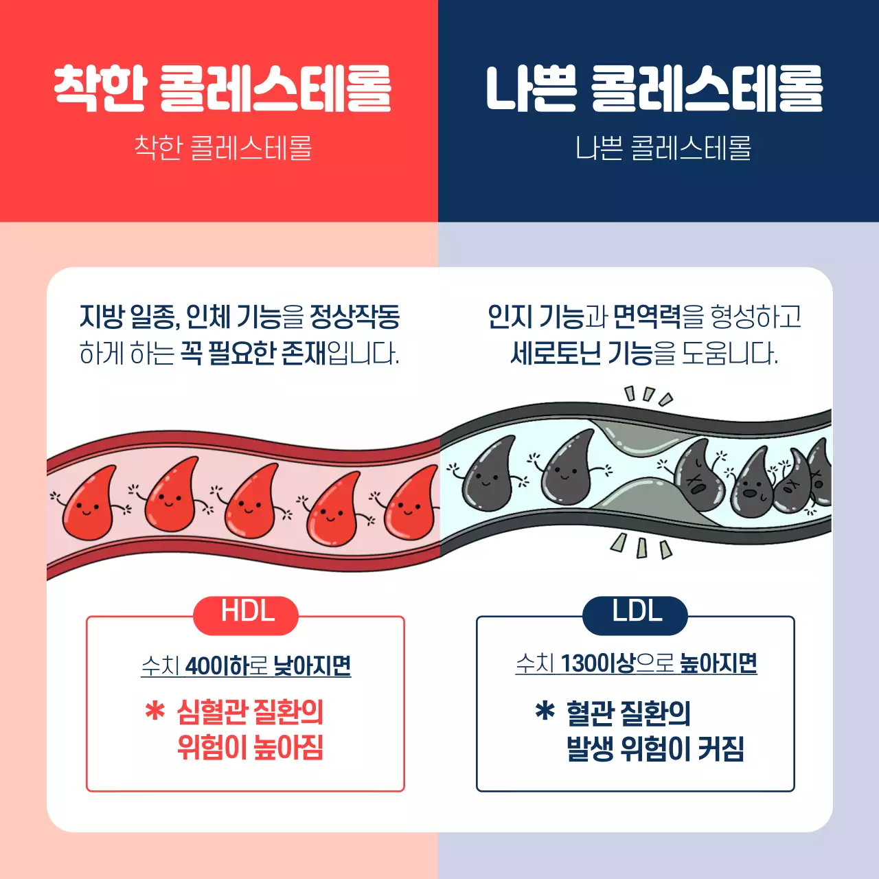 다홍색과 남색의 간결한 콜레스테롤