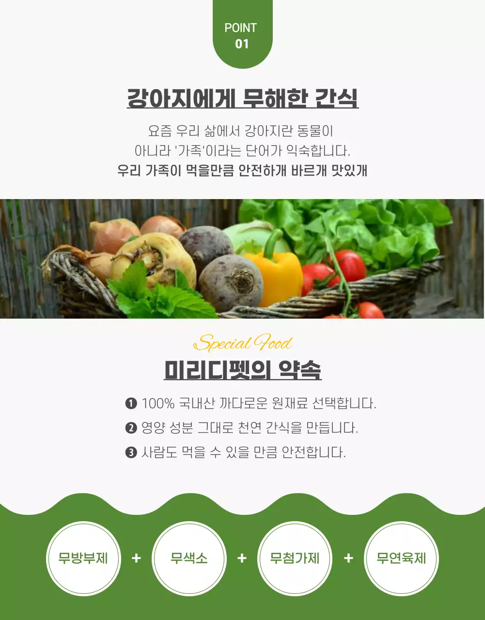 노랑과 초록색의 팝한 반려동물 수제간식 정보