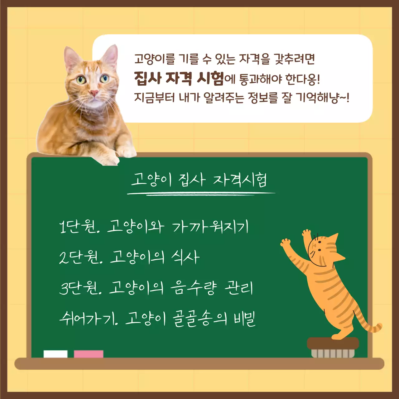 파스텔톤의 귀여운 고양이 집사시험 정보