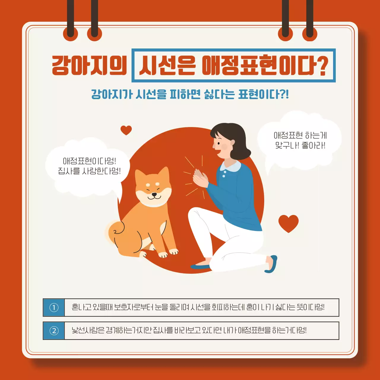 빨강과 파랑의 아기자기한 강아지 상식 설명