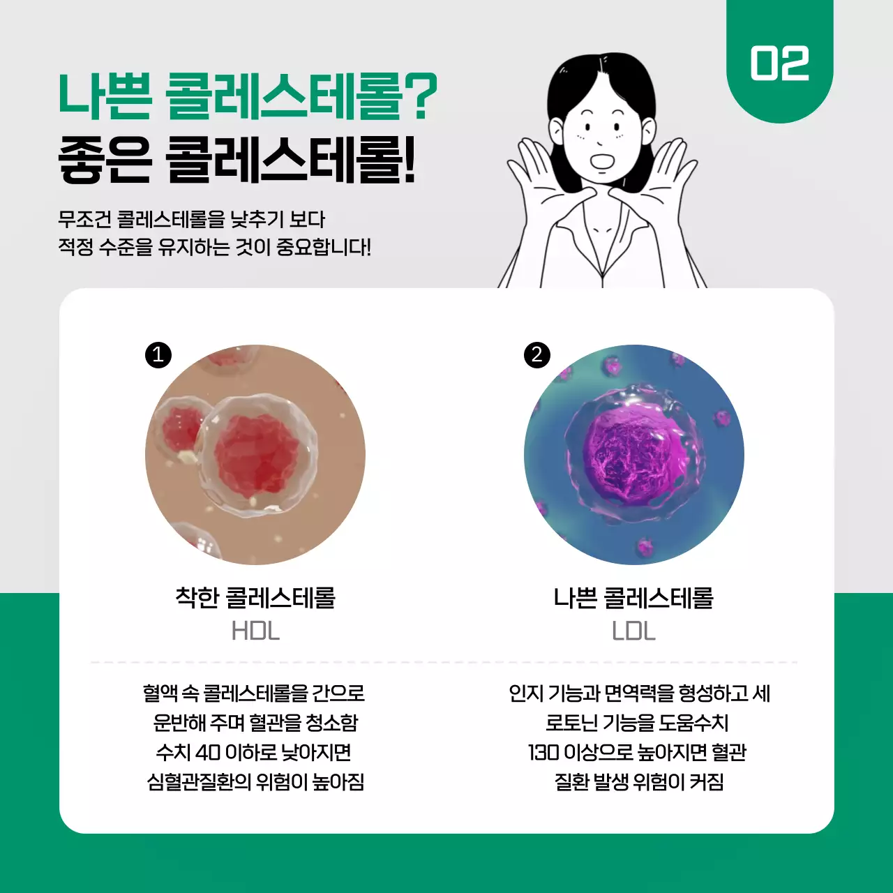 초록색과 검은색의 콜레스테롤 상식 카드뉴스