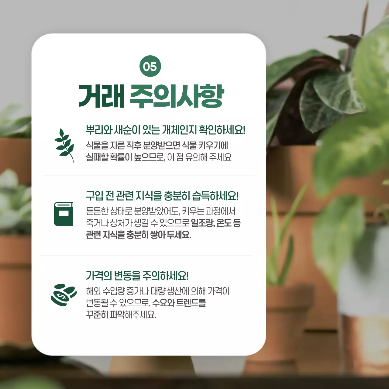 초록색 분위기의 식테크 카드뉴스 디자인