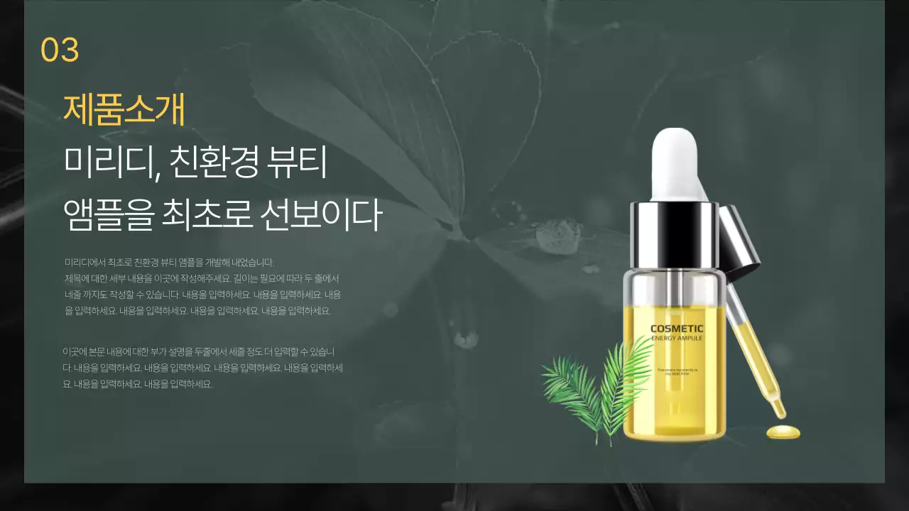 그린 블랙톤 미용관리 제품 소개서