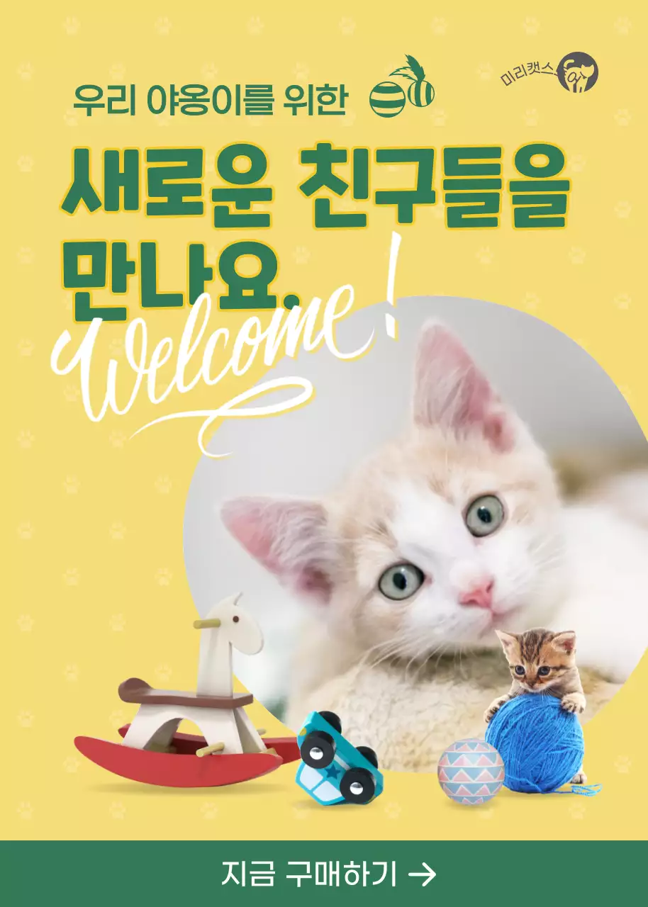 노란색의 아기자기한 고양이 장난감 구매 홍보