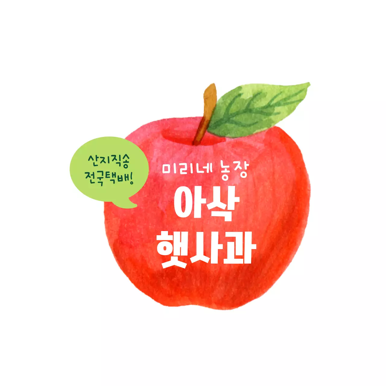 말풍선과 과일 일러스트 컨셉