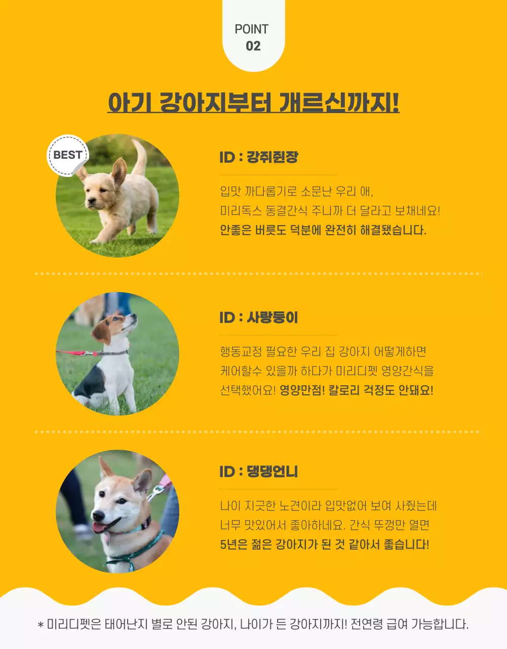 노랑과 초록색의 팝한 반려동물 수제간식 정보