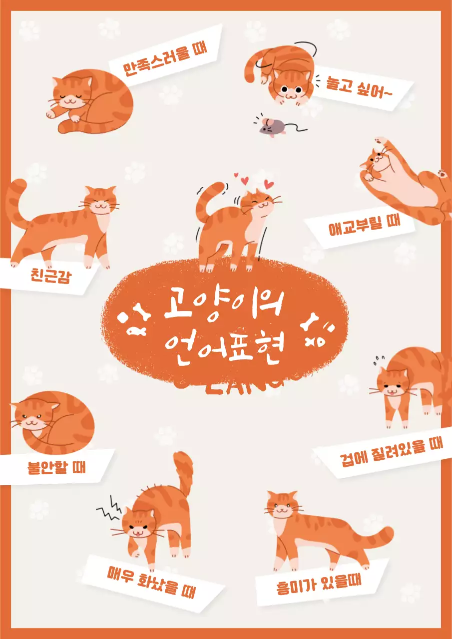 아이보리와 오렌지 색상의 고양이 언어표현 교육용 웹포스터