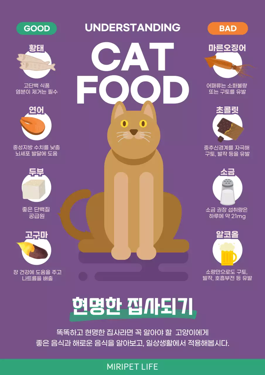 보라색 바탕의 고양이(반려묘) 음식 인포그래픽