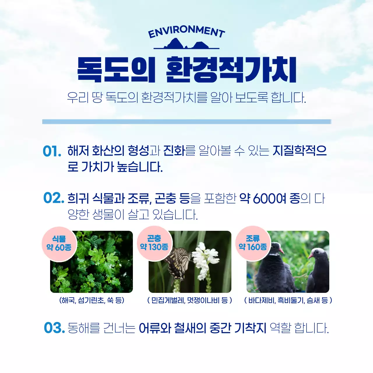 하늘색과 흰색의 자연적인 독도의날 정보 게시글