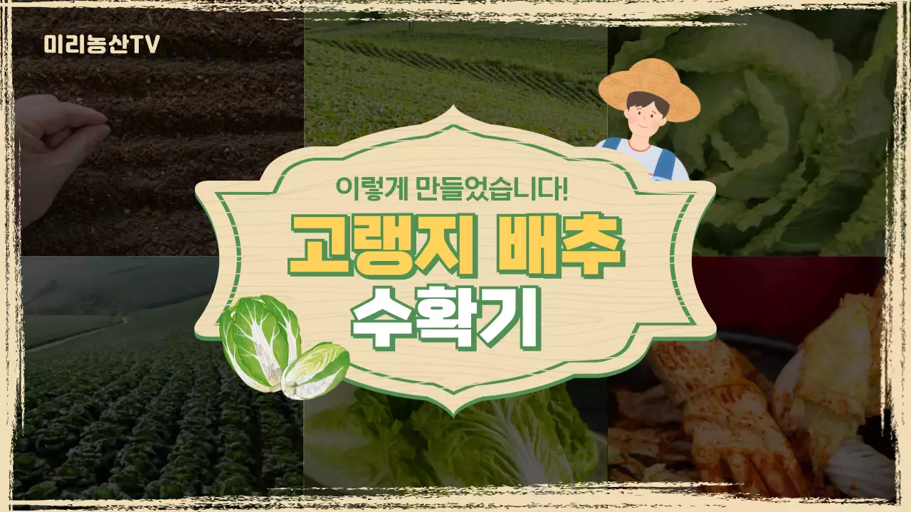 베이지색과 초록색의 자연적인 고랭지 배추 수확기 게시글