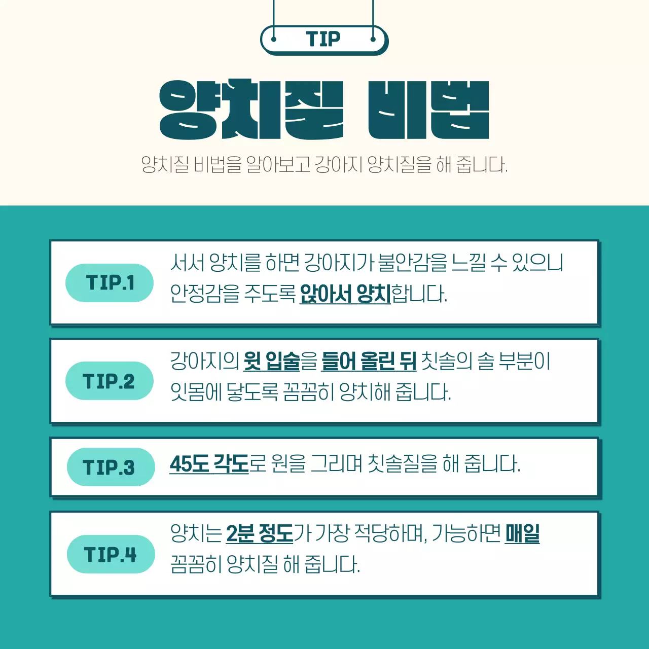 민트색과 노란색의 일러스트 강아지 양치법