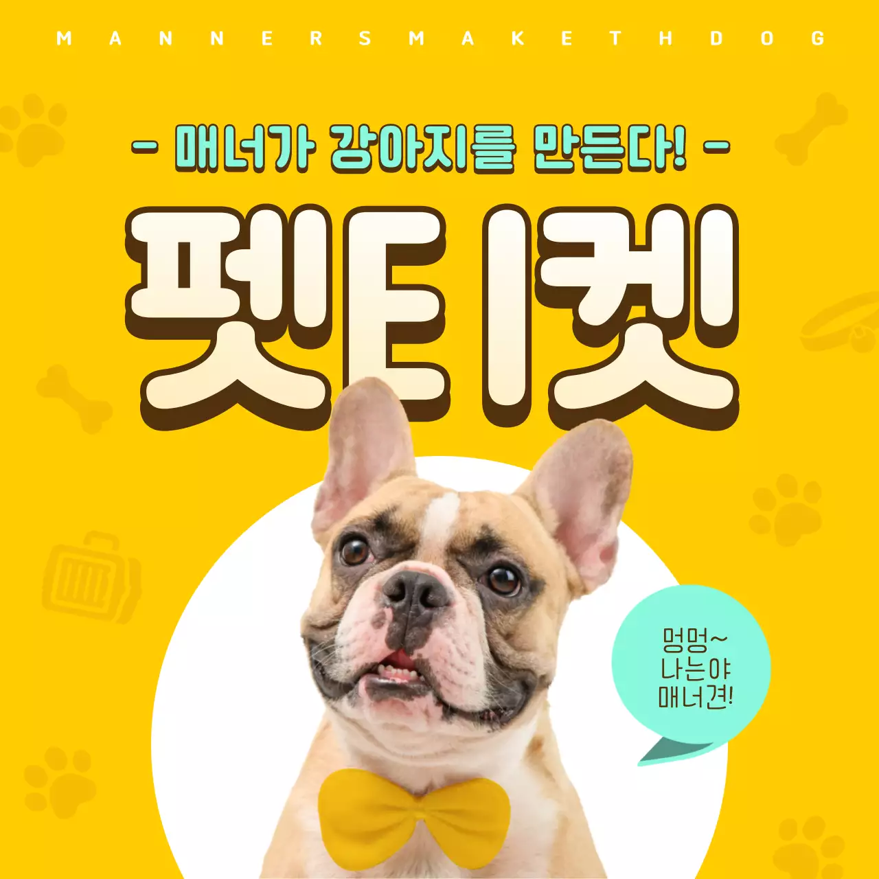 노란색과 고동색의 정보형 펫티켓