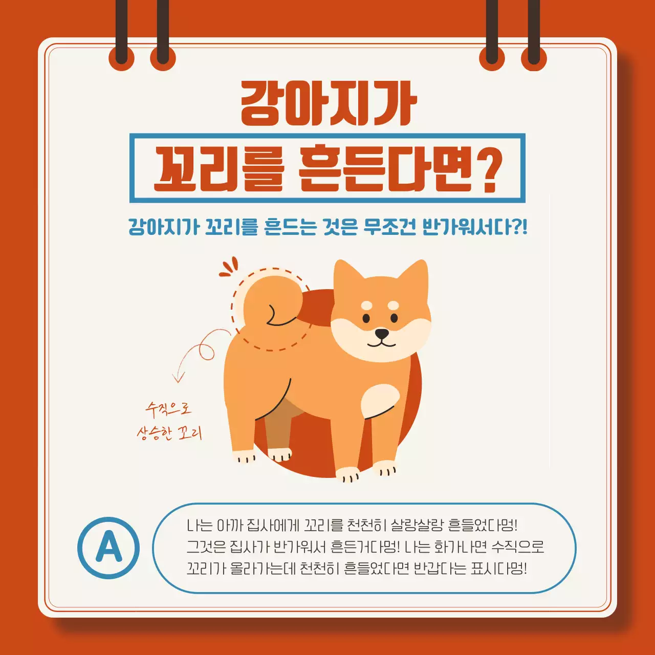 빨강과 파랑의 아기자기한 강아지 상식 설명