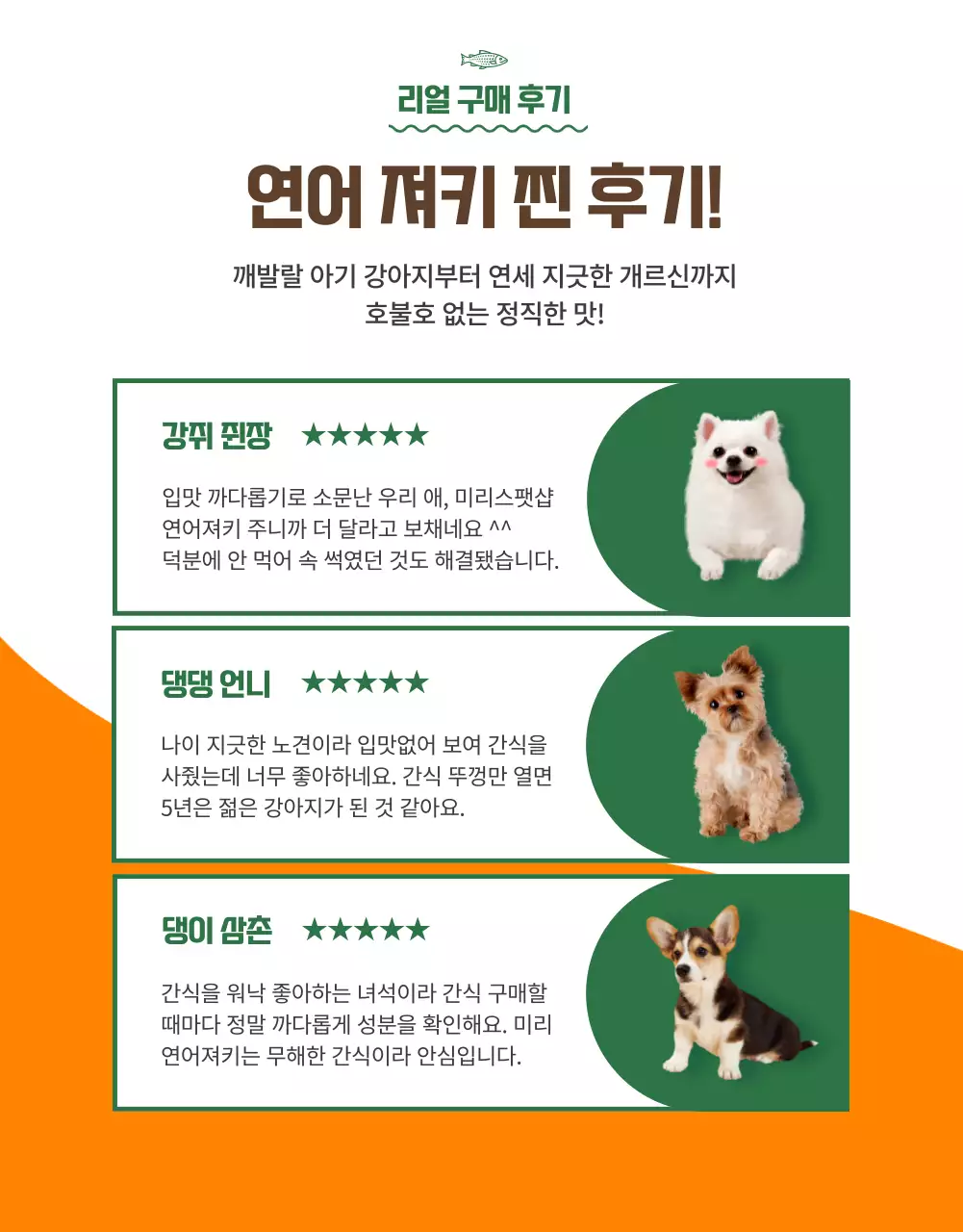 오렌지 컬러 포인트 프리미엄 펫푸드 소개(상세 페이지)