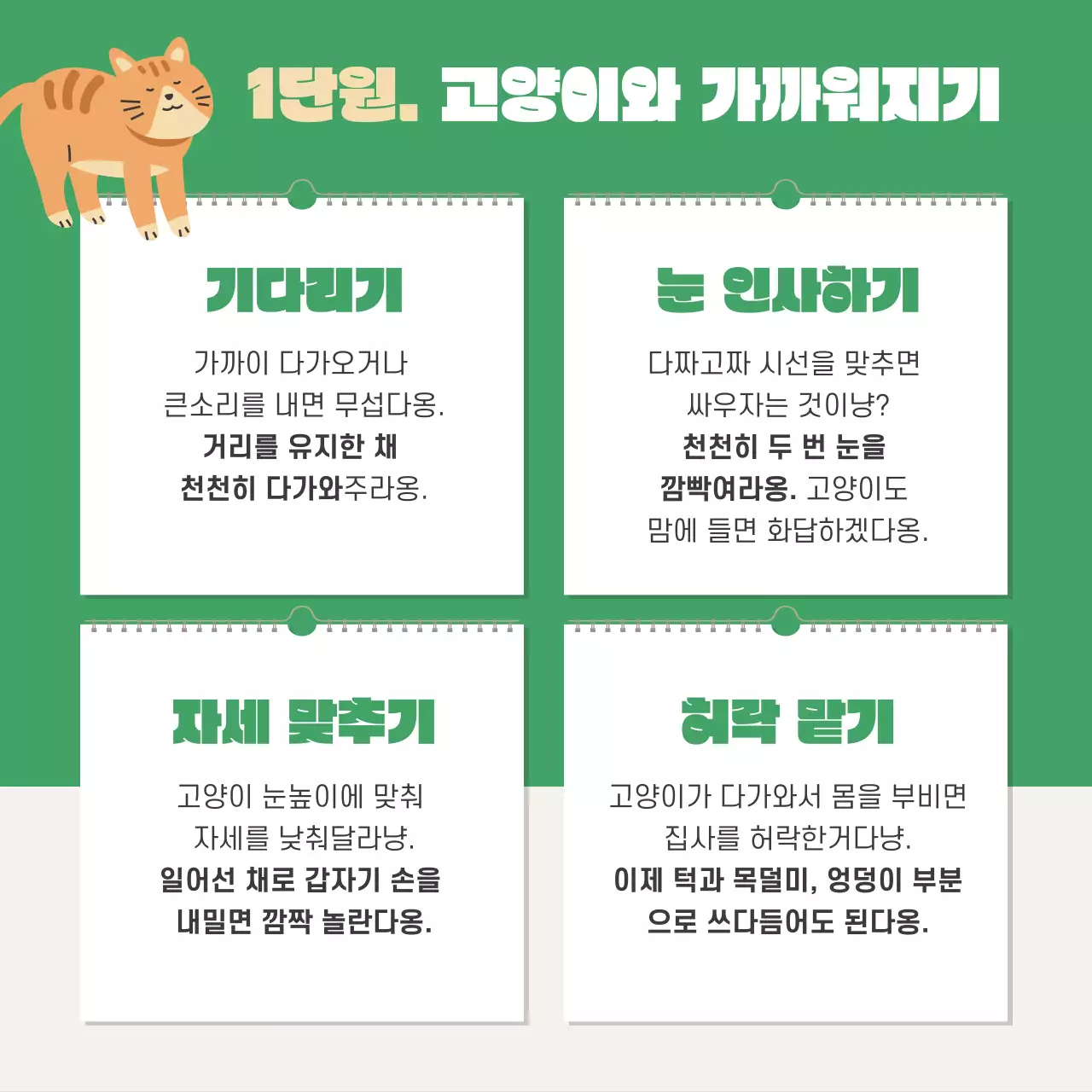 초록색과 주황색의 아기자기한 고양이집사 자격시험 정보