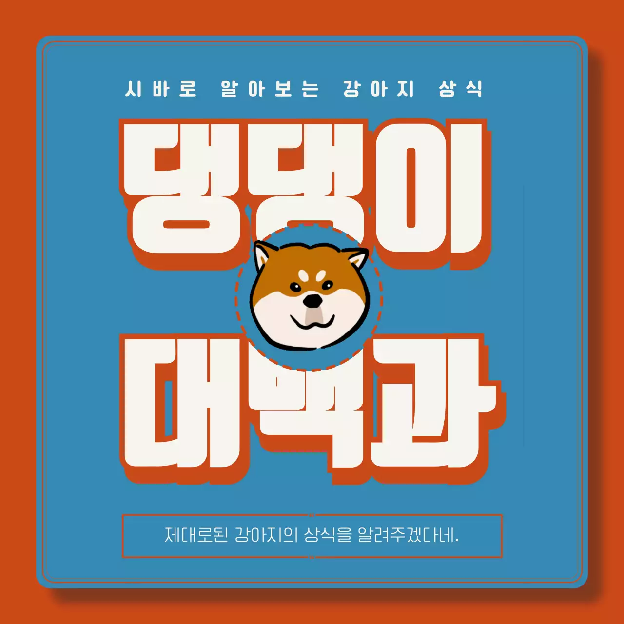 빨강과 파랑의 아기자기한 강아지 상식 설명