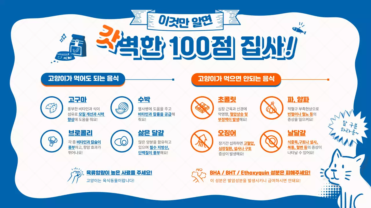 파란색과 주황색의 고양이 음식 안내 (인포그래픽)