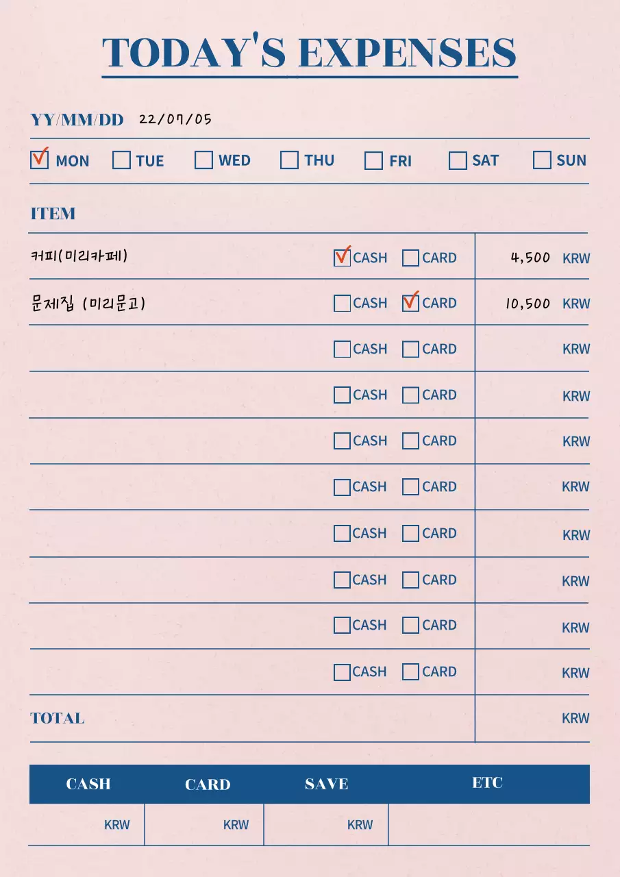 연한핑크색의 오늘 하루 소비기록 및 가계부 