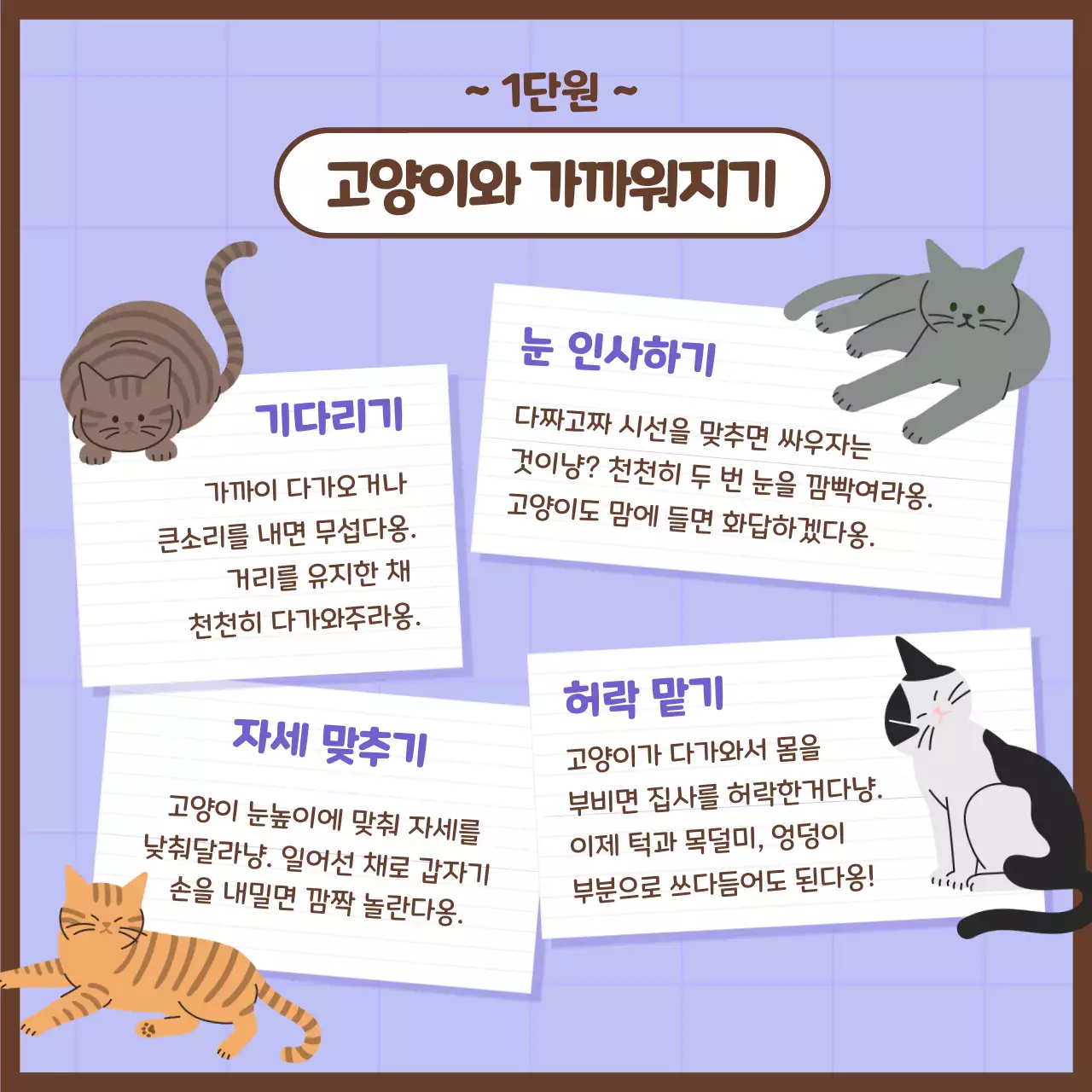 파스텔톤의 귀여운 고양이 집사시험 정보